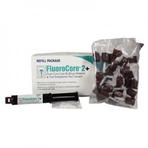 Fluorocore2 build-up material, tooth-colored