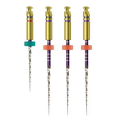 Traverse Rotary Glide Path File 21 mm Size 0.13 Nickel Titanium 0.06 (4/Bx)